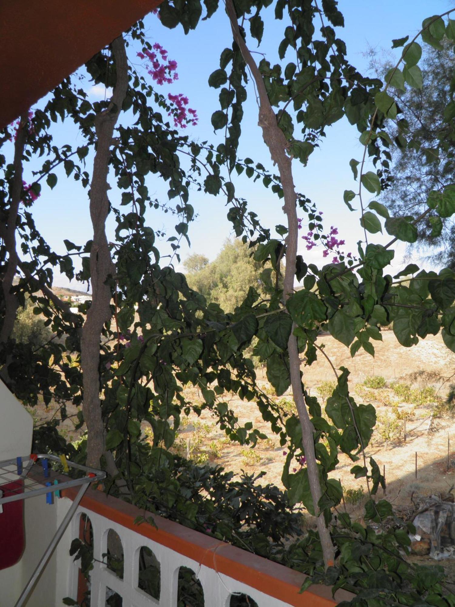 Galaxias Studios Kalamaki  Oda fotoğraf